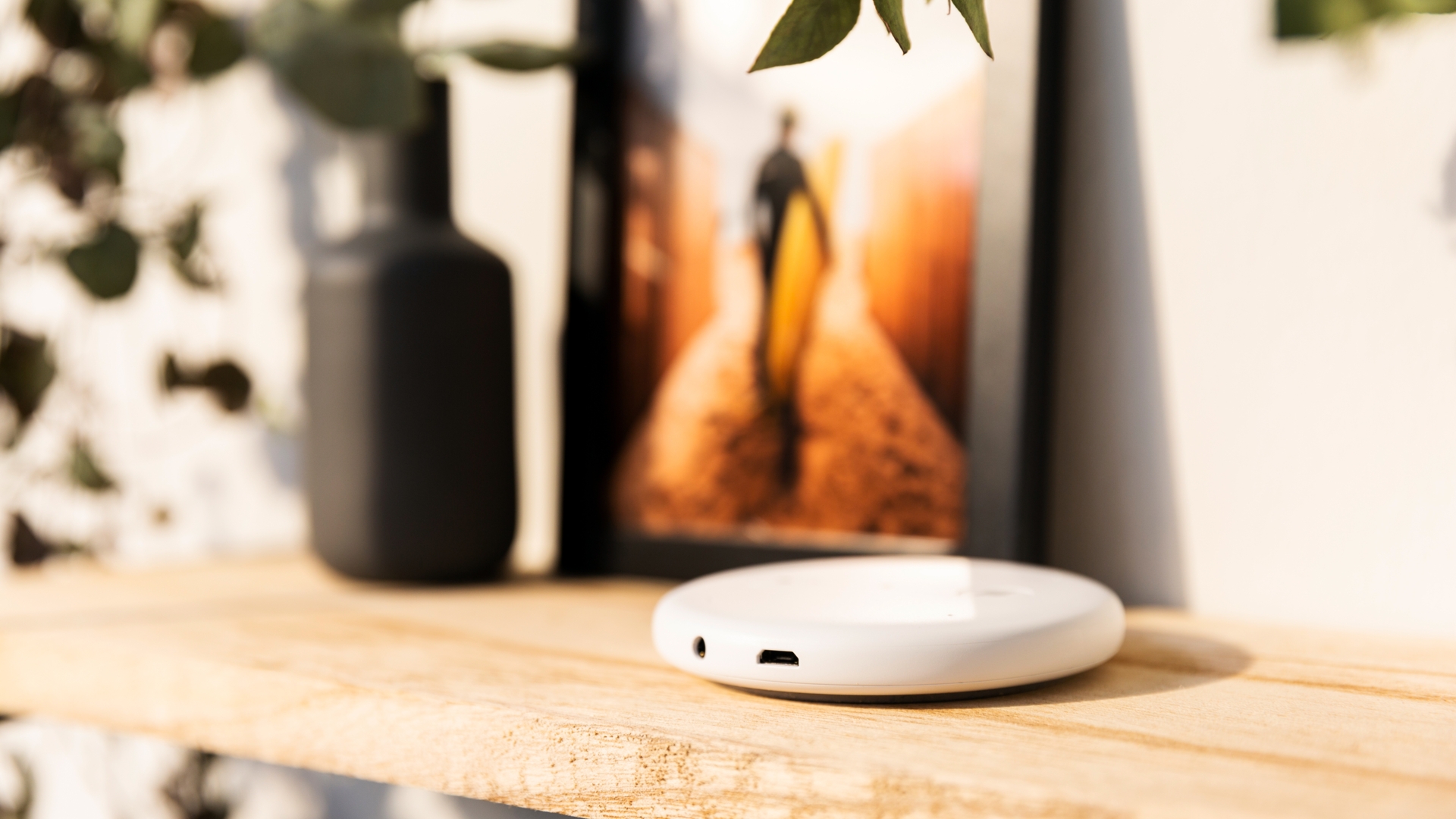 Echo Input Echo Input