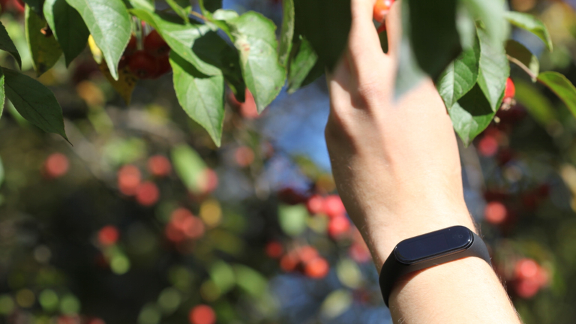 Fitnesstracker Fitnesstracker