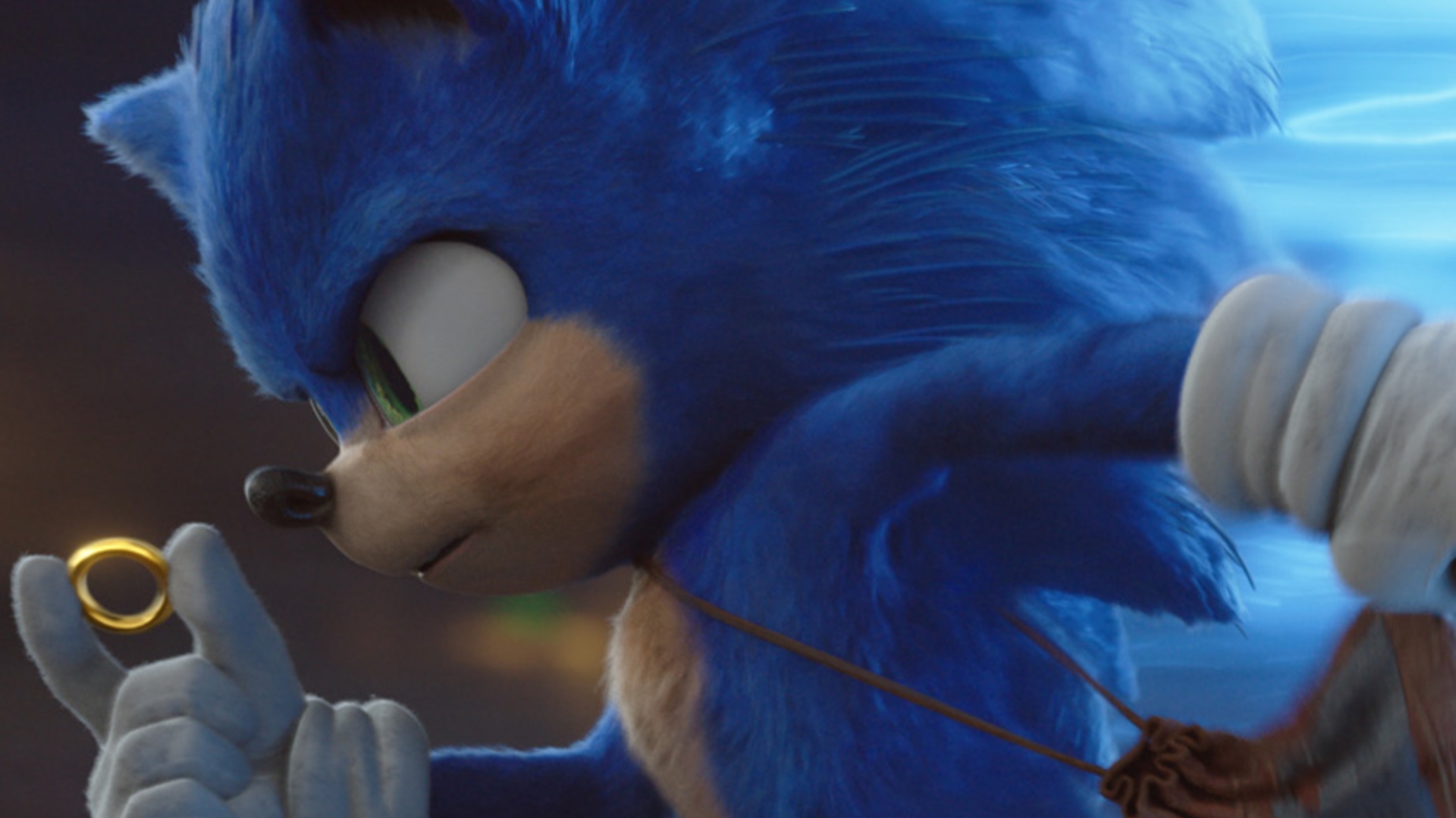 Sonic the hedgehog