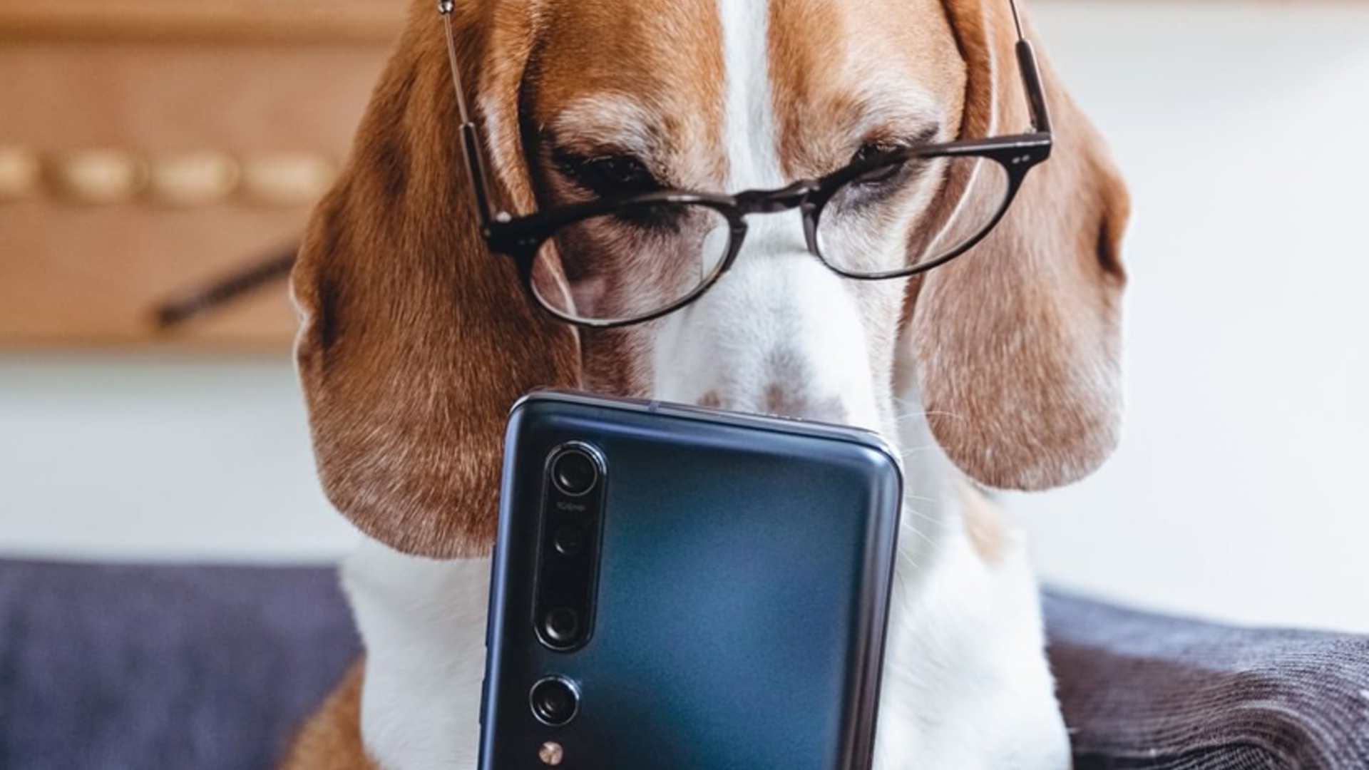 Xiaomi MIUI 12 Termin steht: Release eines Features, das es so „noch nie gab“ Xiaomi MIUI 12 Termin steht: Release eines Features, das es so „noch nie gab“