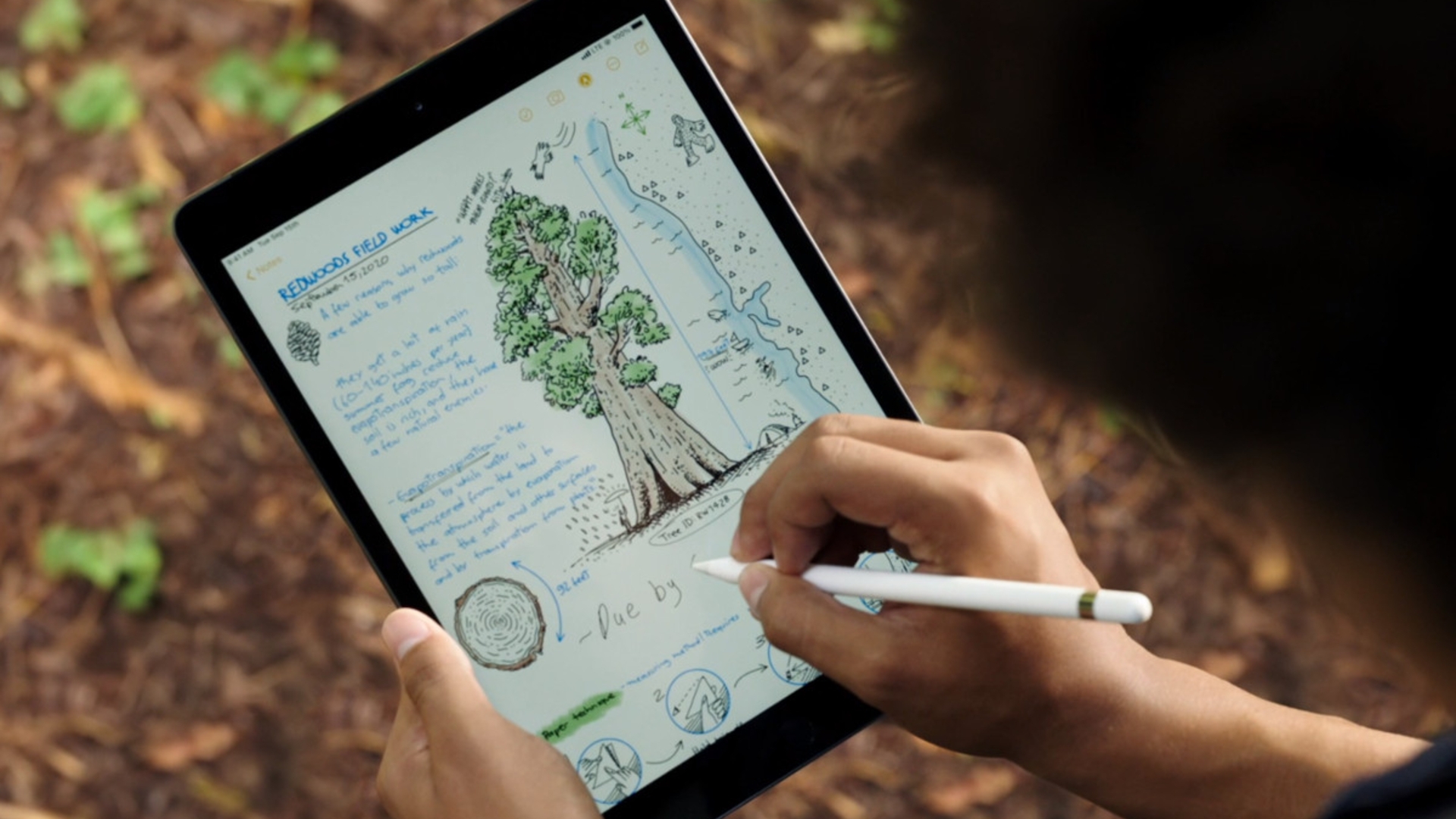 IPad 8 (2020) Apple Keynote Screenshot Mann bedient iPad 8. Generation von 2020 mit Apple Pencil