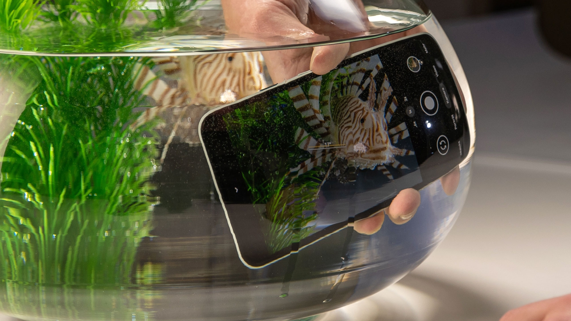 wasserdichte-handys Wasserdichtes Pixel 5