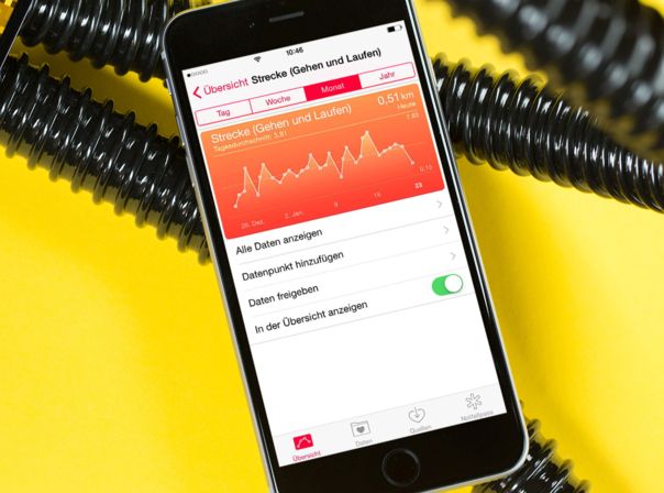 Apple Health Übersicht STrecke