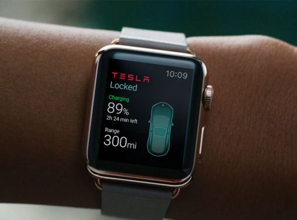 Die Tesla-App zeigt auf der Apple Watch Fahrzeuginformationen an und lässt Türen öffnen.