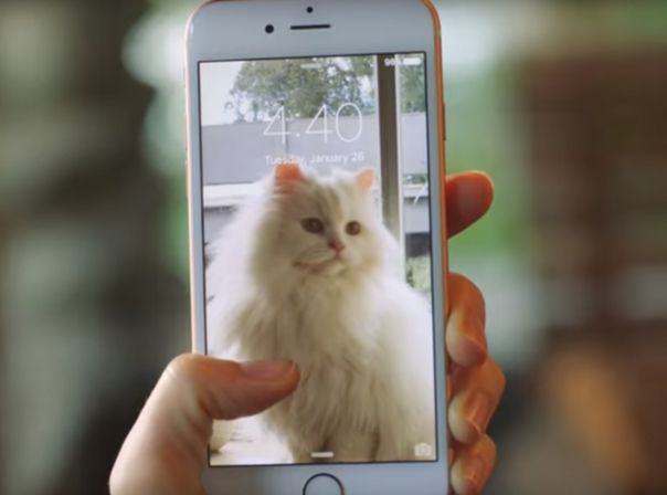 iphone 6s katze werbung youtube live photos