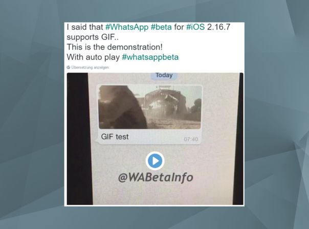 WhatsApp GIF Demo Twitter WAbetaInfo