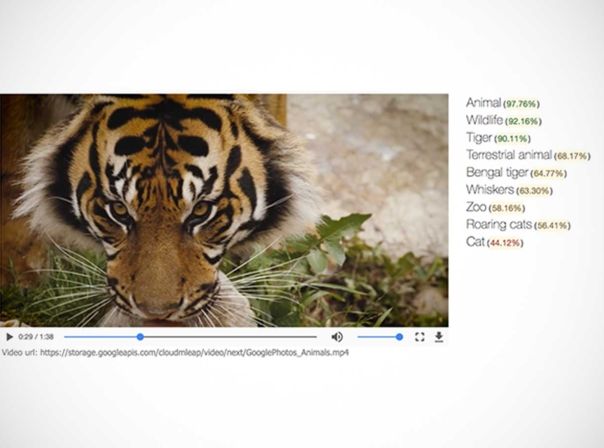 Die Cloud Video Intelligence API ermöglicht das Durchsuchen von Videos
