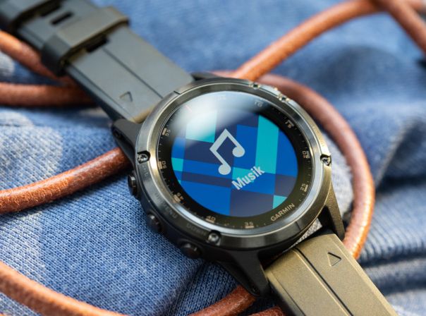 Garmin Fenix 5 Plus Garmin Fenix 5 Plus