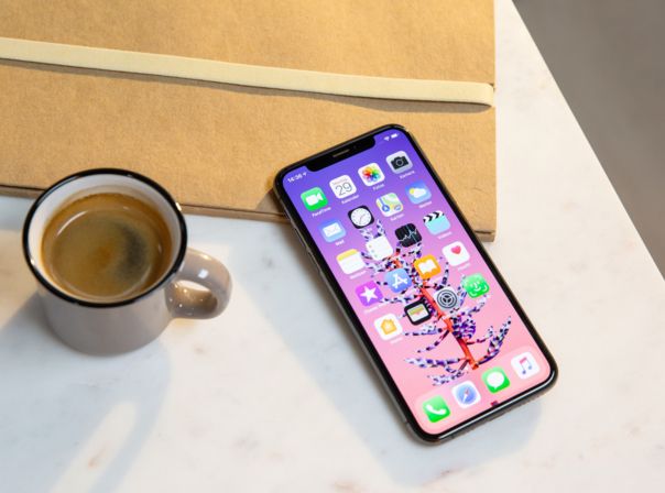 iPhone Xs Display