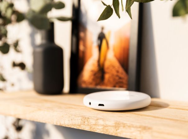 Echo Input Echo Input