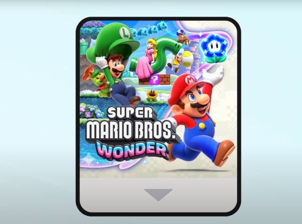 Bei einigen Nutzern stehen Nintendo-Spiele buchstäblich auf dem Speiseplan Virtual Game Card für Nintendo Switch