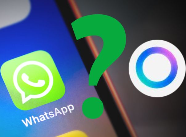 Lässt sich der WhatsApp-KI widersprechen? Wir haben alle Infos für euch gesammelt. WhatsApp bunter Kreis