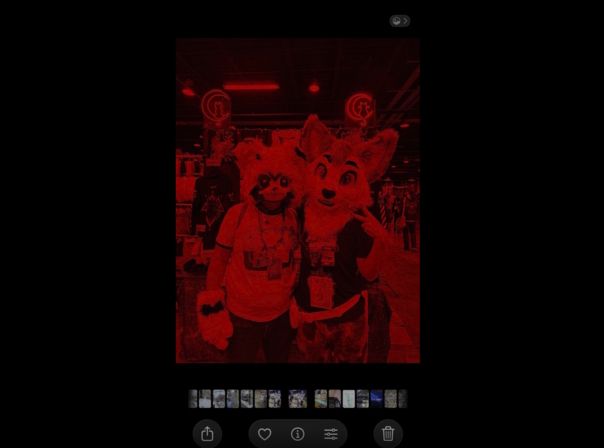 Ein IPhone-Bug macht Android-Fotos rot