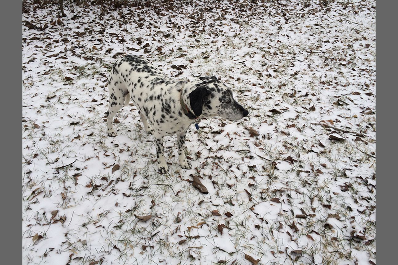 3rd Photographer of the year - Jill Missner 3rd Photographer of the year - Jill Missner