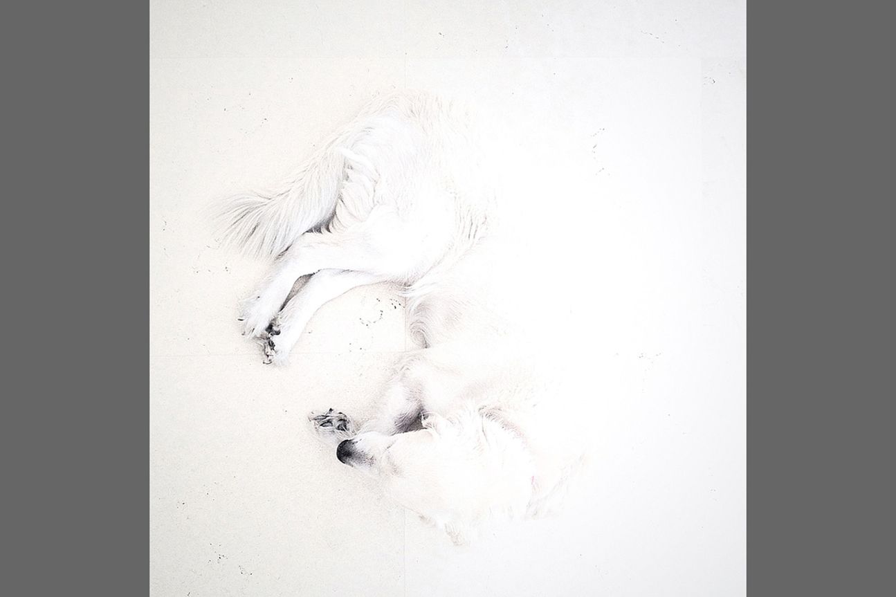 3rd Animals - Teddy Cohen 3rd Animals - Teddy Cohen