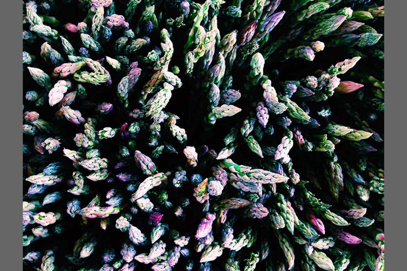 1st Food - Alexa Seidl 1st Food - Alexa Seidl