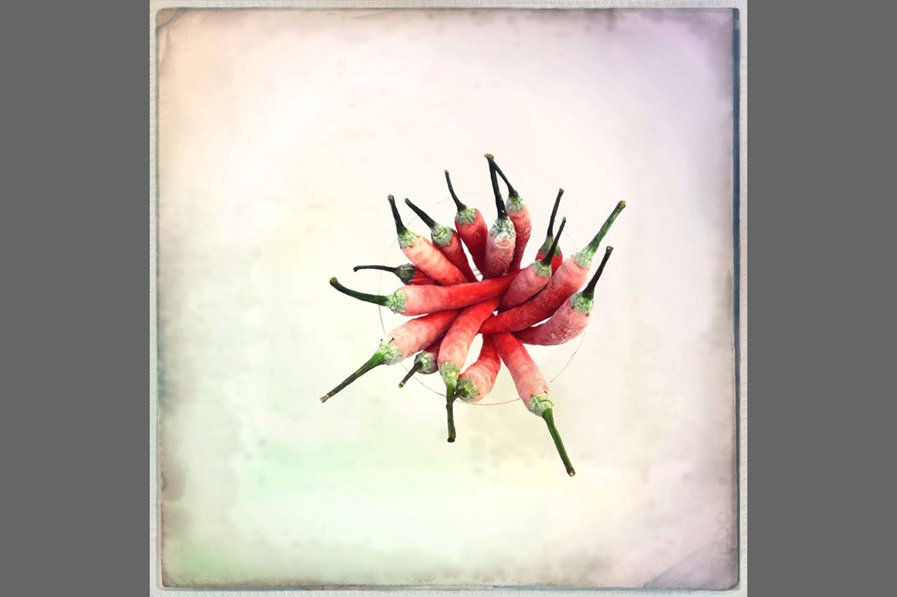 2nd Food - Chien Nan Liao 2nd Food - Chien Nan Liao