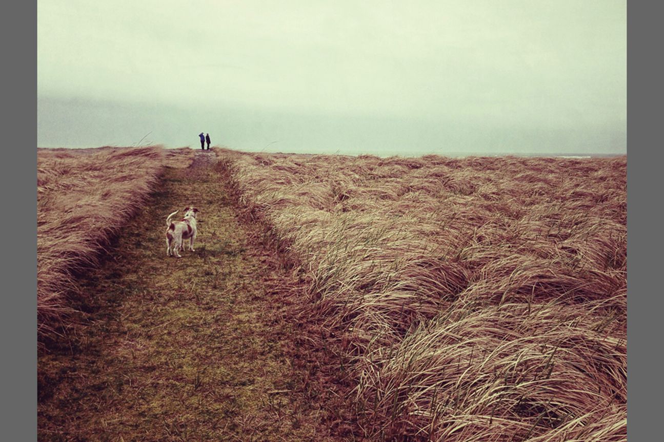 2nd Landscape - Gwenn McGill 2nd Landscape - Gwenn McGill