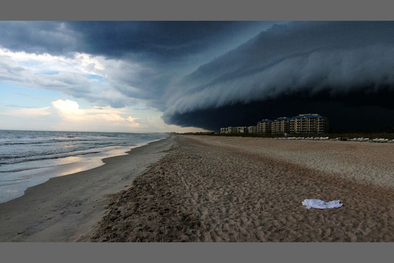 1st Nature - Felicia Pandola 1st Nature - Felicia Pandola