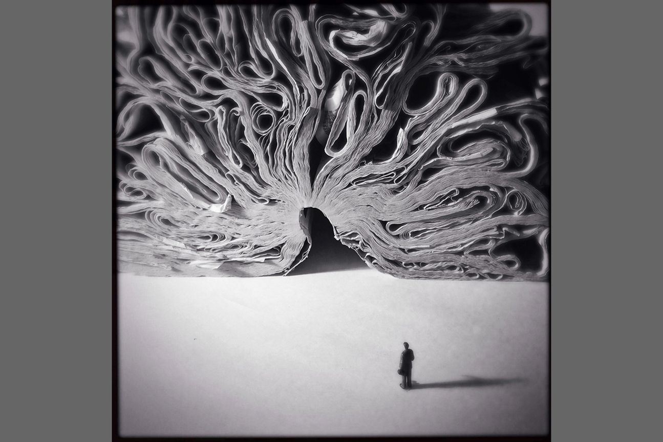 3rd StillLife - Cara Barer 3rd StillLife - Cara Barer