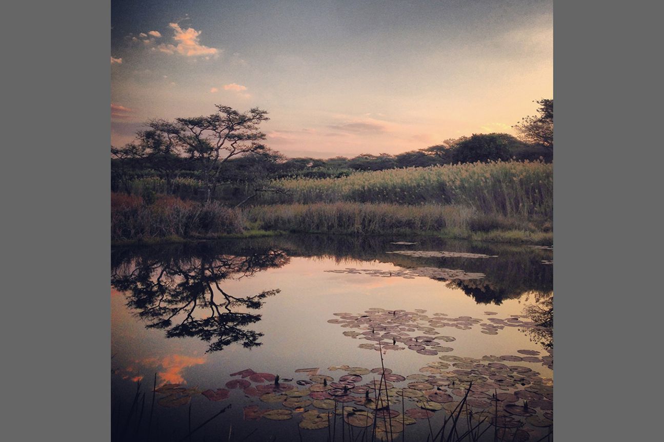 2nd Sunset - Danielle Millar 2nd Sunset - Danielle Millar