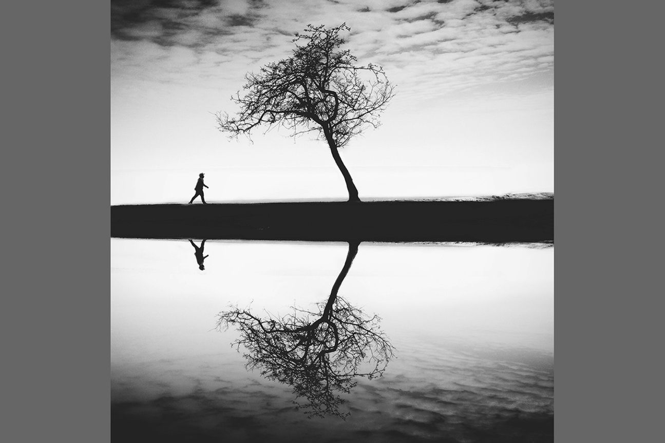 2nd Trees - Coco Liu 2nd Trees - Coco Liu