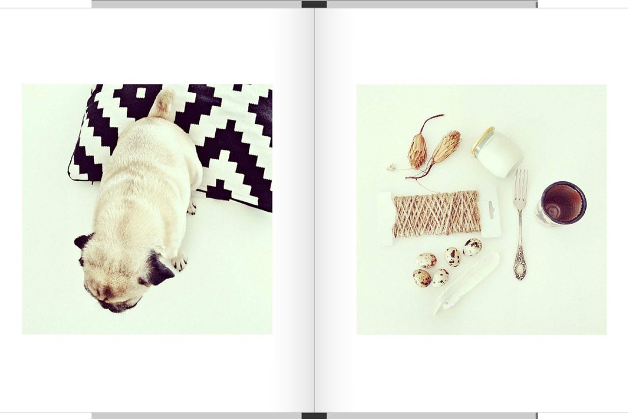 Blurb fasst Eure Instagram-Bilder in Büchern zusammen.