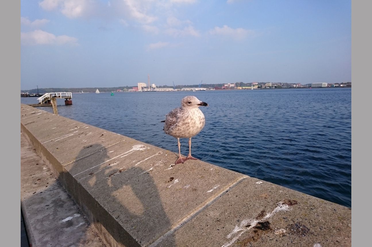 Z3 Compact Testfoto Z3 Compact Testfoto