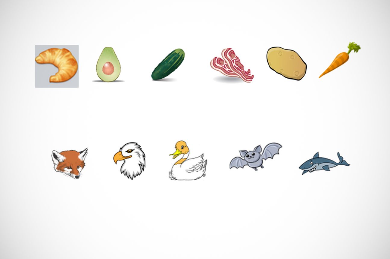 Food Items and Plants - Animals Food Items and Plants - Animals