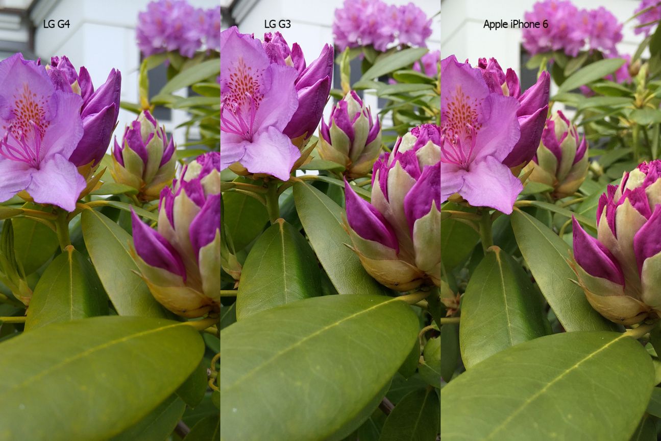 Kameravergleich LG G4, iPhone 6 und LG G3: