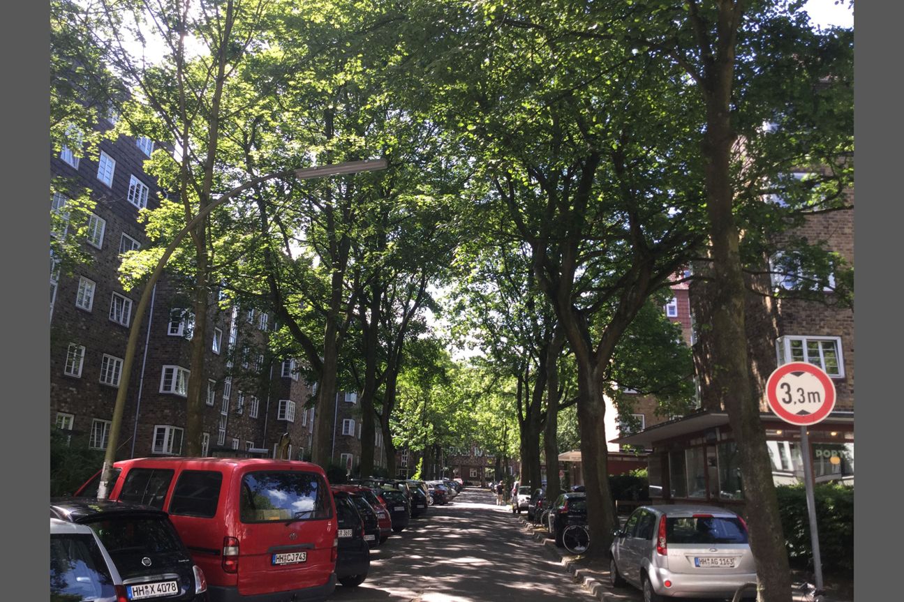 iPod touch Testfoto iPod touch Testfoto