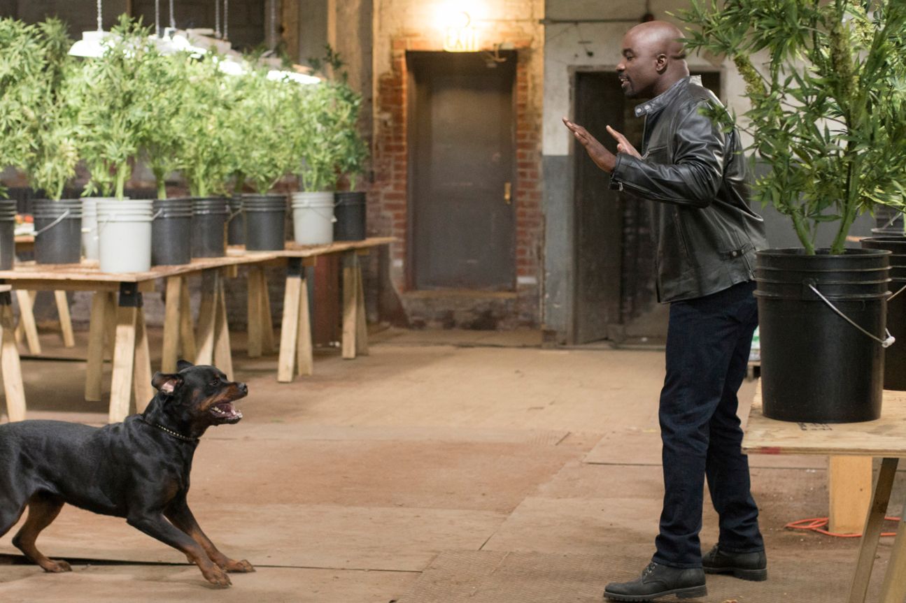 Netflix Marvel's Jessica Jones Netflix Marvel's Jessica Jones