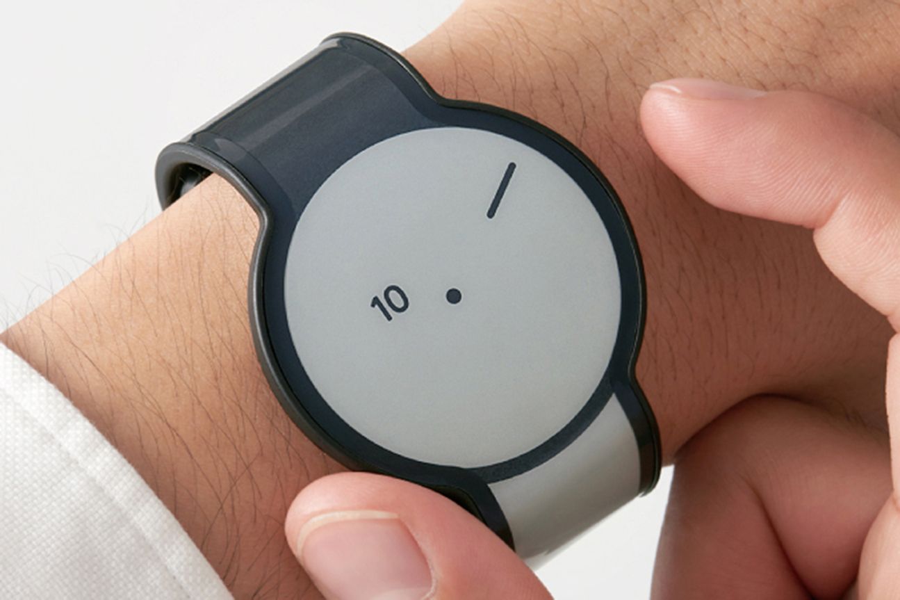 Sony FES Watch