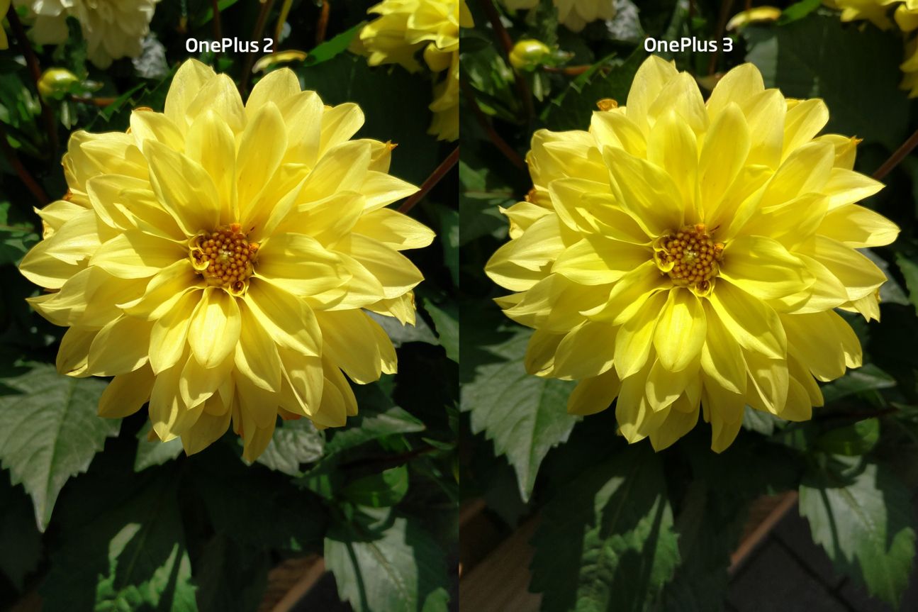Testfotos Vergleich OnePlus 2 und OnePlus 3 Testfotos Vergleich OnePlus 2 und OnePlus 3