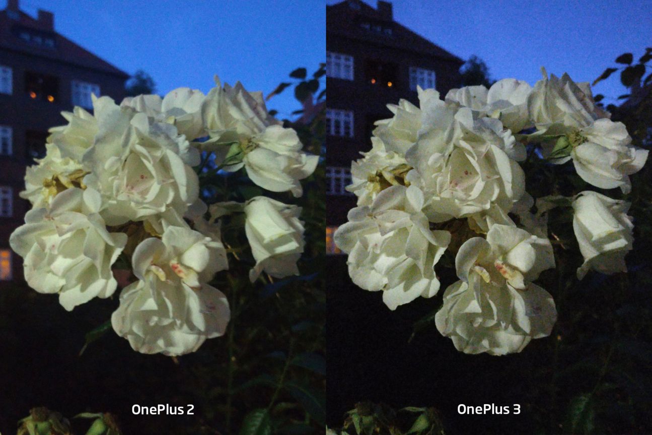 Testfotos Vergleich OnePlus 2 und OnePlus 3 Testfotos Vergleich OnePlus 2 und OnePlus 3