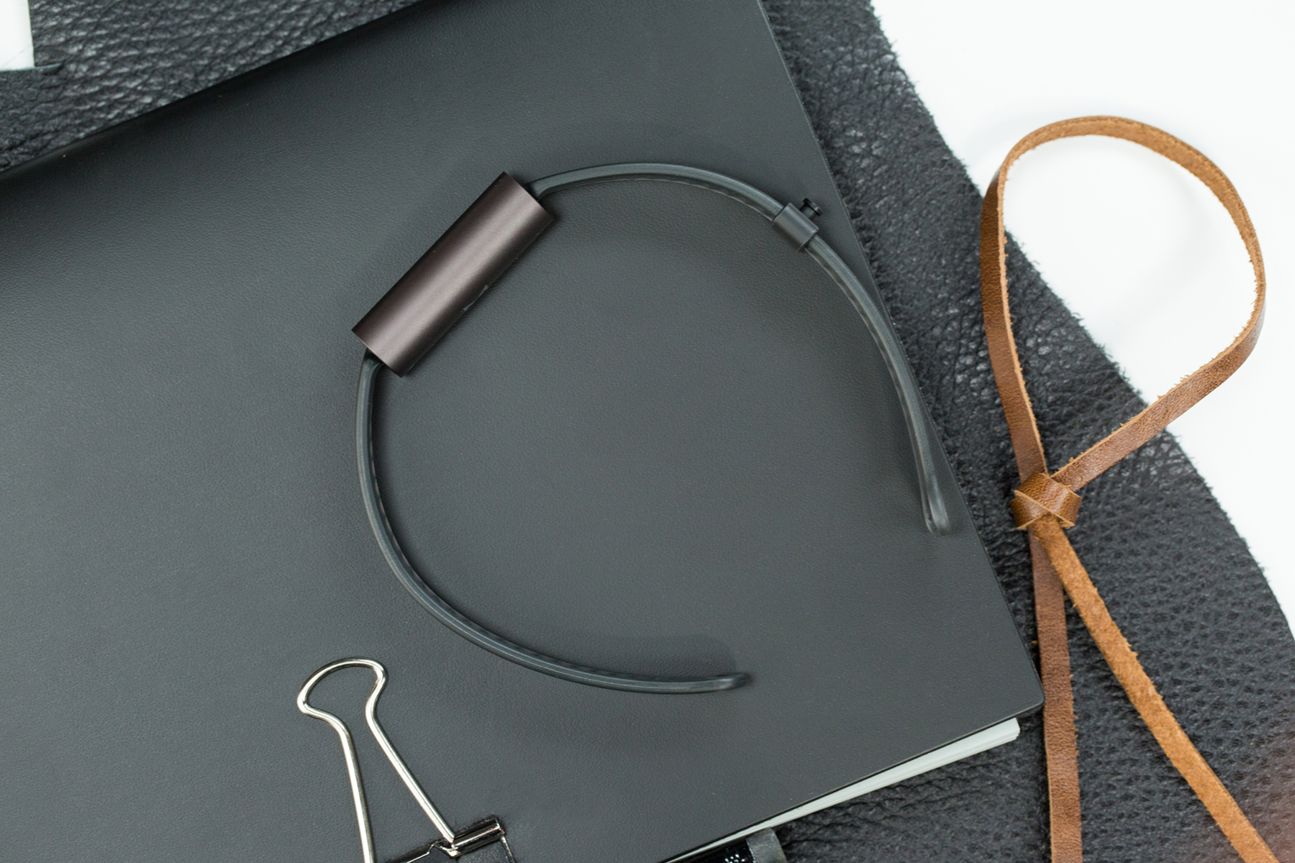 Misfit Ray Misfit Ray