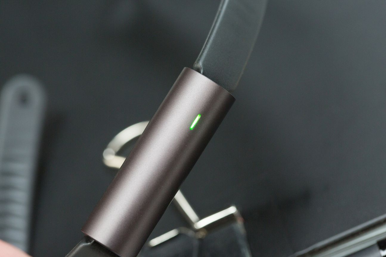 Misfit Ray Misfit Ray