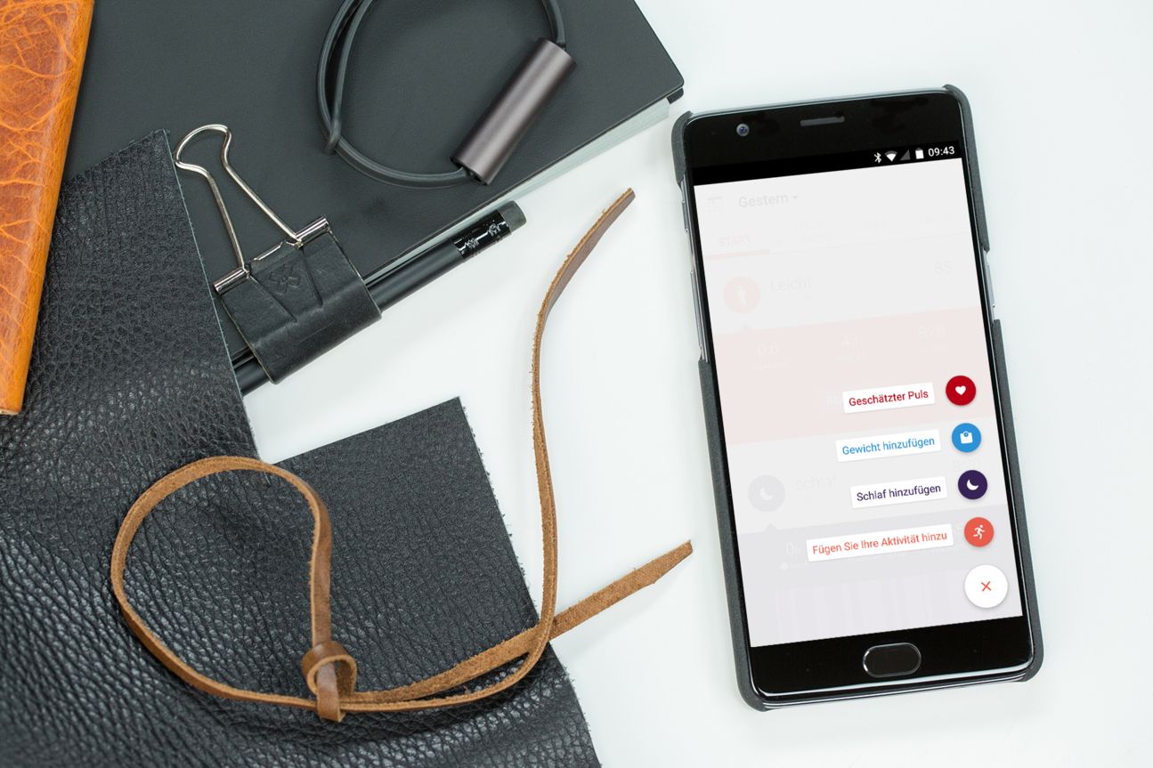 Misfit Ray Misfit Ray