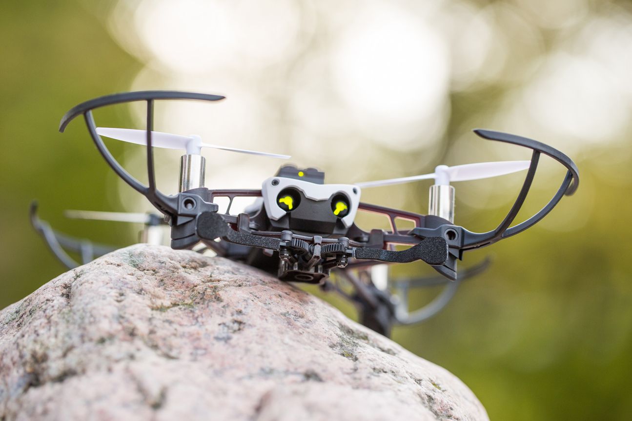 Parrot Mambo Parrot Mambo