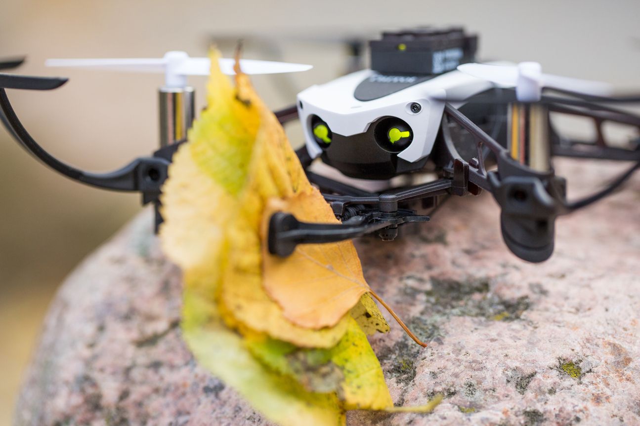 Parrot Mambo Parrot Mambo