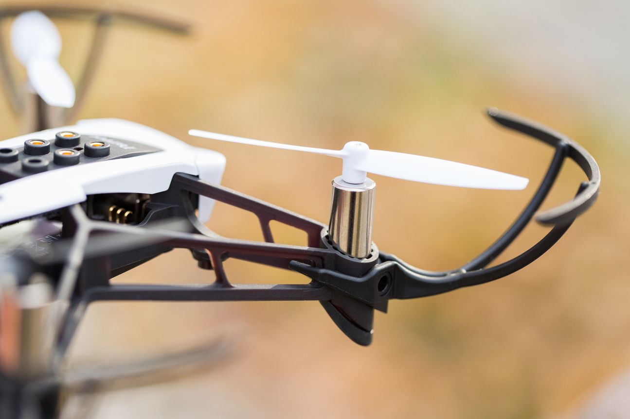 Parrot Mambo Parrot Mambo