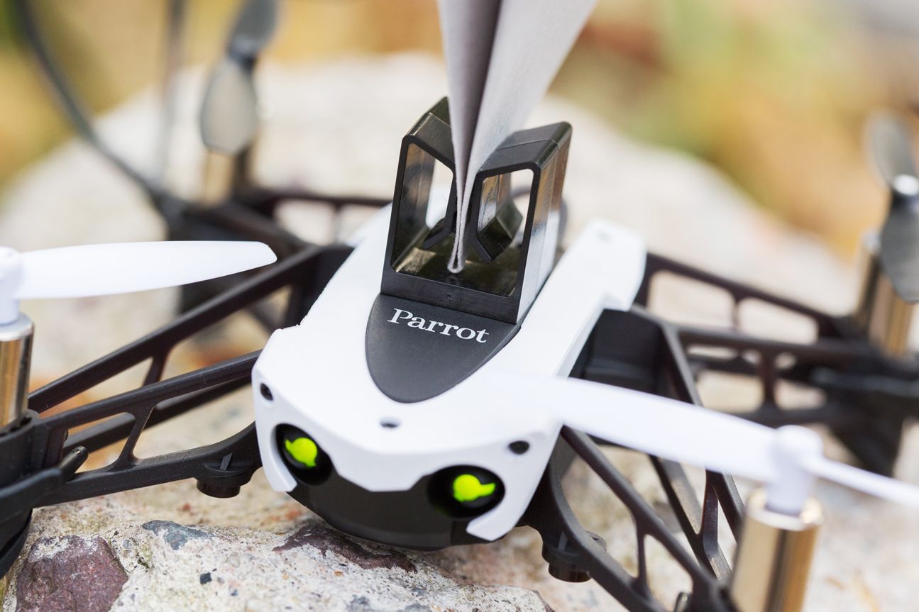 Parrot Mambo Parrot Mambo