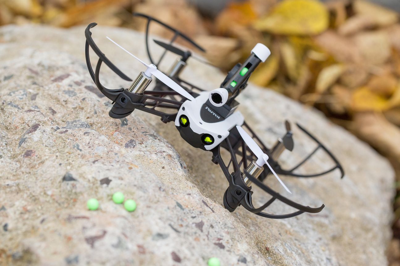 Parrot Mambo Parrot Mambo