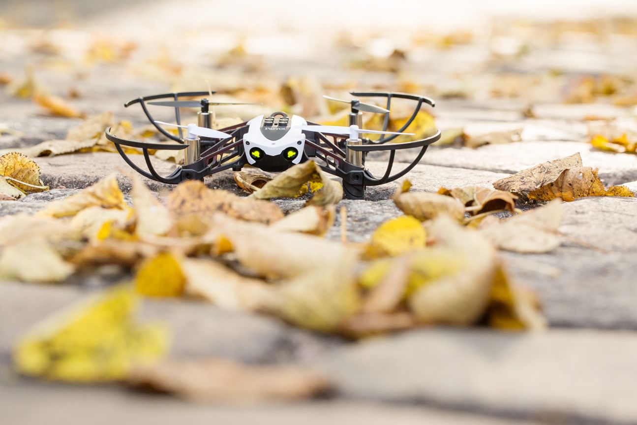 Parrot Mambo Parrot Mambo