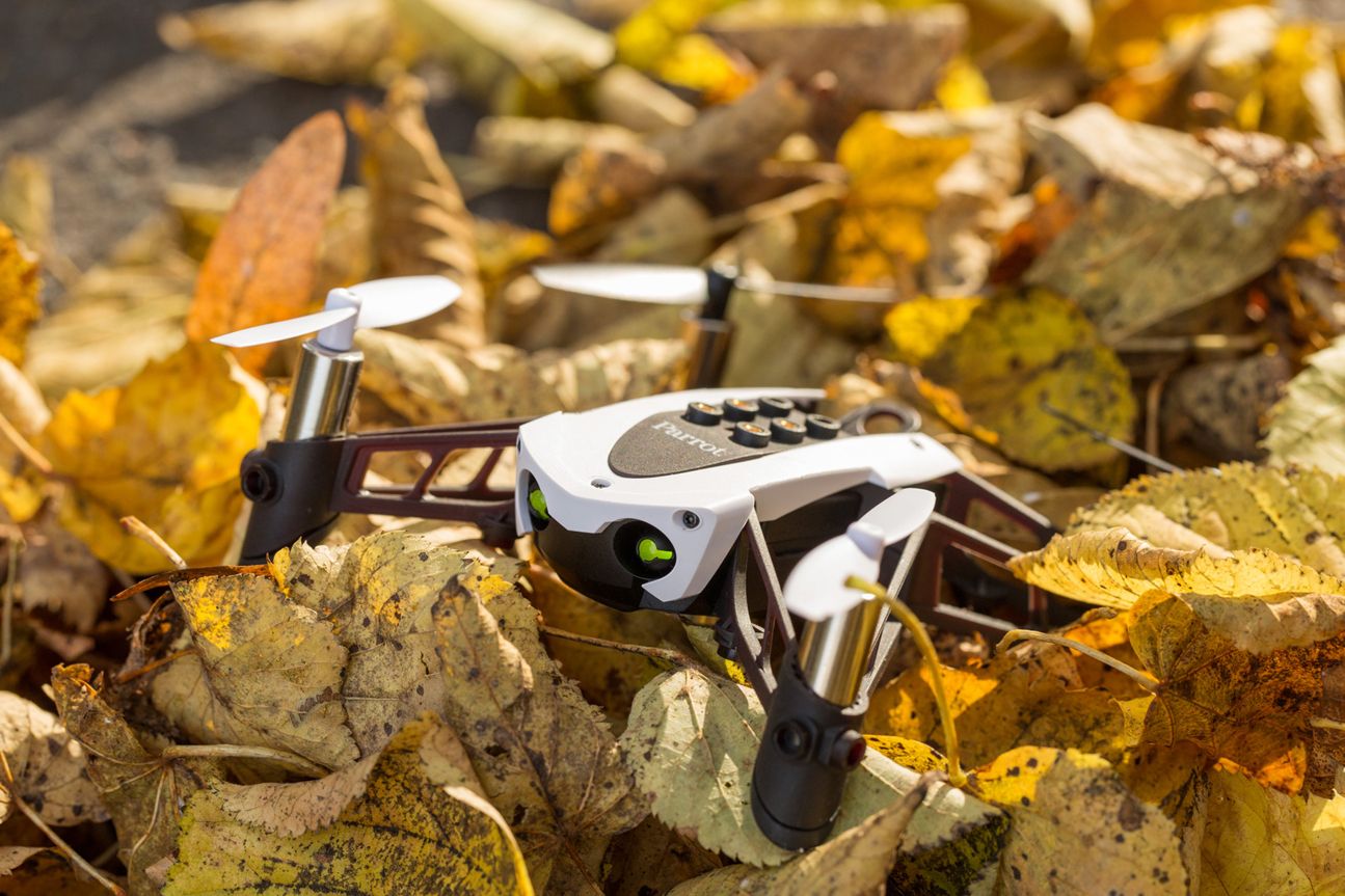 Parrot Mambo Parrot Mambo