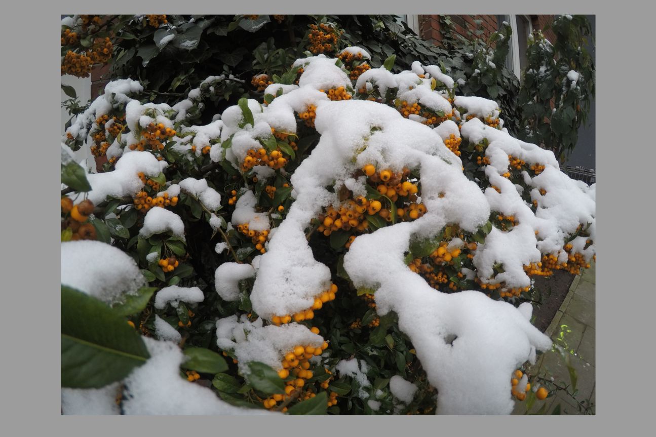 GoPro Hero5 Black Kamerabild GoPro Hero5 Black Kamerabild