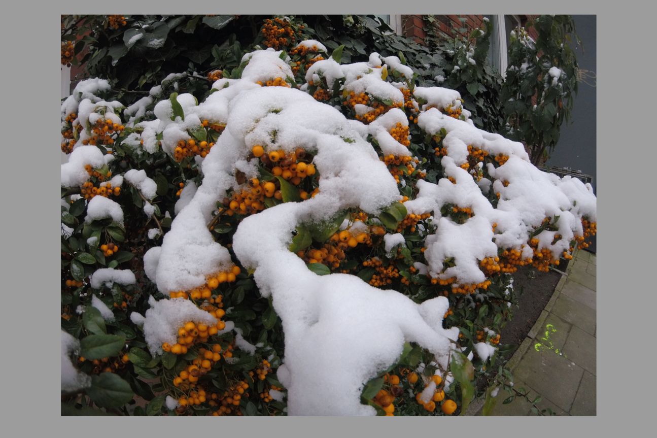 GoPro Hero5 Session Kamerabild GoPro Hero5 Session Kamerabild