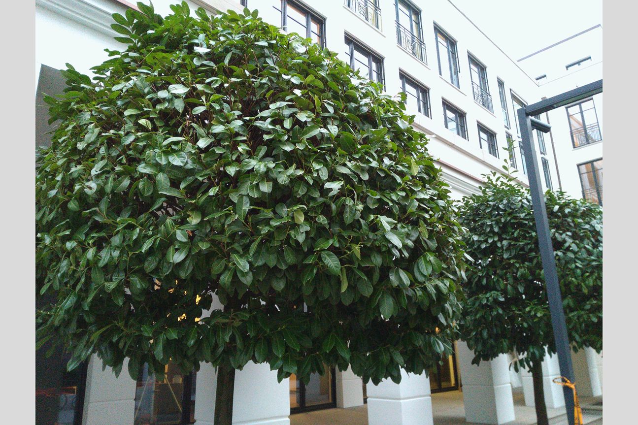 Testfoto Blackphone 2 Testfoto Blackphone 2