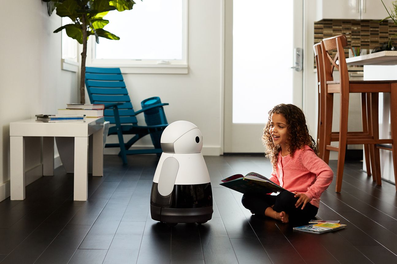 Kuri, Roboter Kuri, Roboter