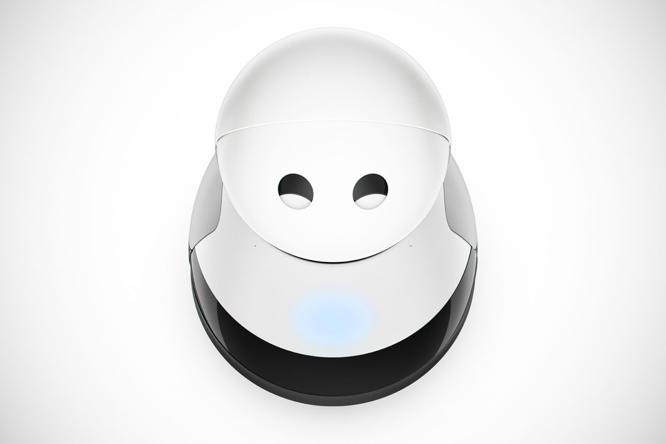 Kuri, Roboter Kuri, Roboter